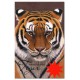 ECO NOTE Siberian Tiger